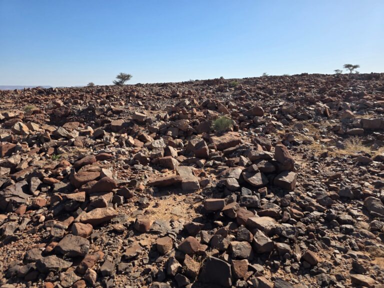 Addana: From Ancient Trenches to Modern Exploration